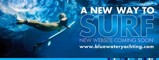 Image forBluewater boosts its global brand