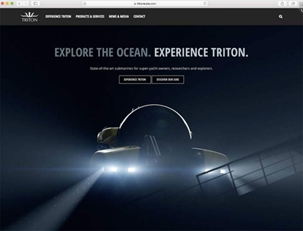 Image forSubmerse yourself in Tritons new website