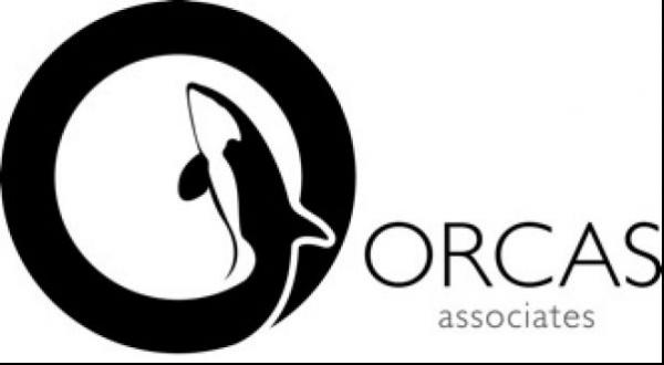 Image forORCAS ASSOCIATES EXPAND YACHT RECRUITMENT SERVICES