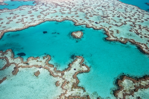 Image forSuperyacht Group Great Barrier Reef attend the Monaco Yacht Show 2017