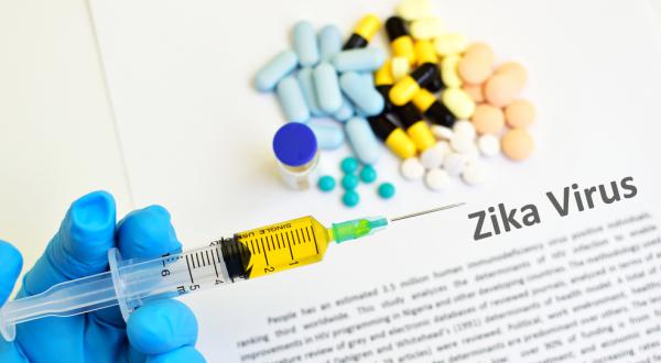 Image forZika Virus Poses a Likely Threat on the Mediterranean Yachting Season