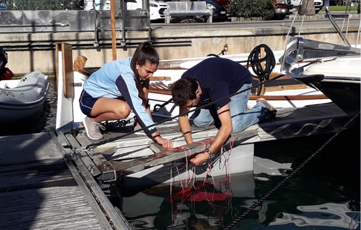 Image forMarina Port de Mallorca turns into an area of biological experiments